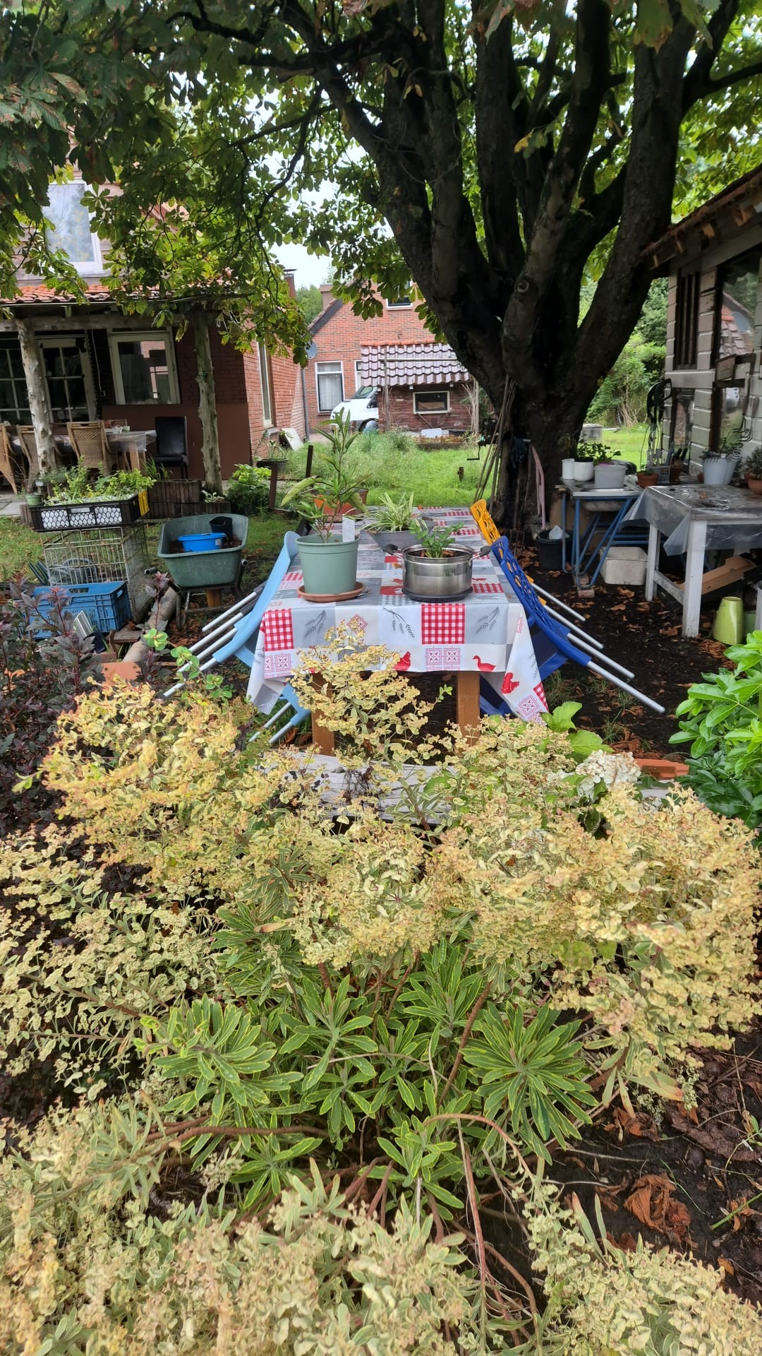 Bloementuin met uitzicht op de velden