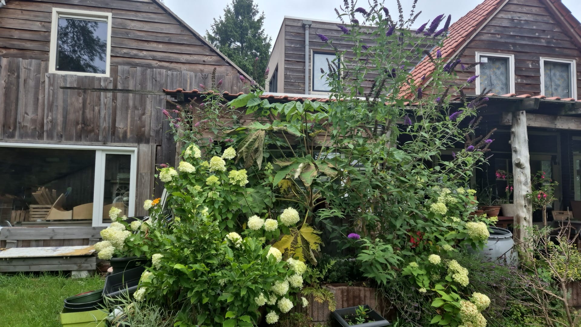 Bloementuin en gastenverblijf van Klontjeheide